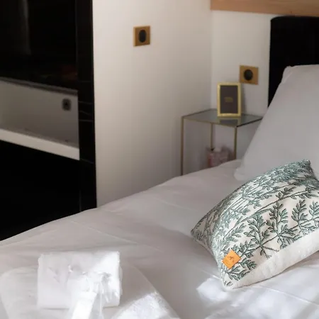 4 Star Rated From 1904 In Aix Les Bains Daire